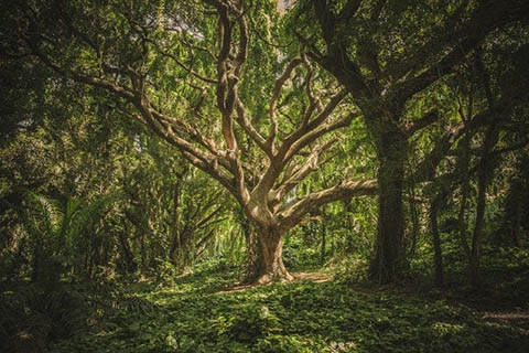 Grounding Meditations Sara Gasch The Grounded Path Grounding Meditations Sara Gasch The Grounded Path