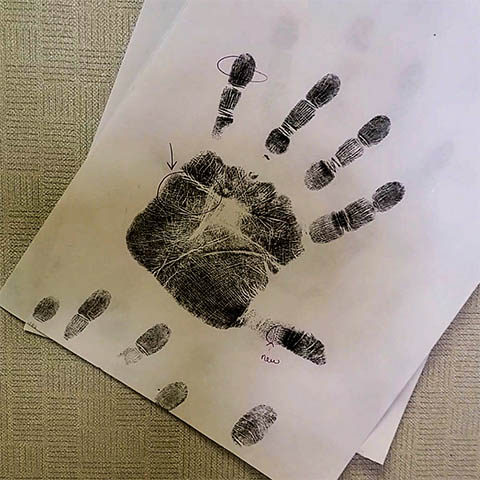 Hand Analysis Sara Gasch The Grounded Path Butte Montana Hand Analysis Sara Gasch The Grounded Path Butte Montana