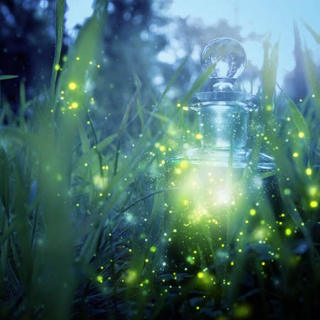 Thetahealing Rainbow Children Seminar The Grounded Path